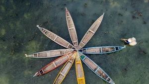 Las barcas de madera permiten a los visitantes desplazarse con facilidad y explorar la rica biodiversidad del ecosistema local. (Foto: VNA)