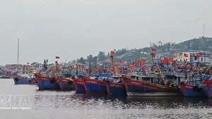 Una vista del puerto pesquero de Lach Bang, Thanh Hoa. (Foto: VNA)