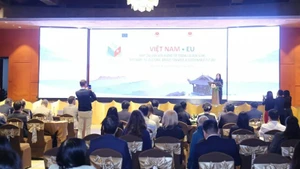 En la cita. (Foto: VNA)