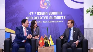 El primer ministro de Vietnam, Pham Minh Chinh (izquierda), se reúne con el sultán de Brunéi, Haji Hassanal Bolkiah. (Foto: VNA)