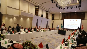Panorama del evento. (Foto: VNA)