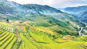 Seis sitios turísticos imprescindibles en Vietnam