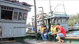 Foto ilustrativa. (Foto: VNA)