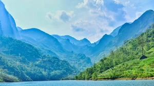 Contemplar belleza del río Nho Que al pie del paso Ma Pi Leng