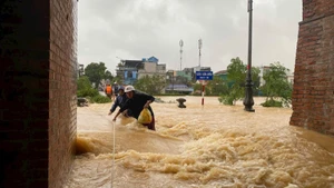 Foto de ilustración. (Fuente: Nhan Dan)