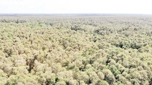 [Video] Protegen la biodiversidad en la Reserva Natural de Lung Ngoc Hoang