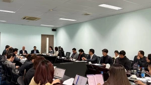 En la reunión. (Foto: VNA)