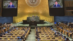 Foto de ilustración. (Fuente: VNA)