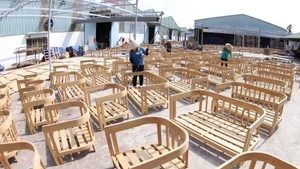 Foto ilustrativa. (Foto: VNA)