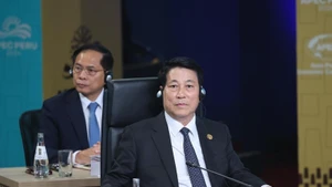 El presidente de Vietnam, Luong Cuong. (Foto: VNA)