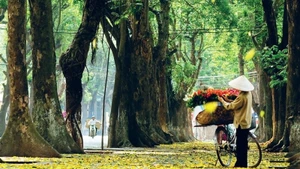 Foto ilustrativa. (Fuente: hanoimoi.vn) 