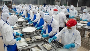 [Vídeo] Exportaciones acuícolas de Vietnam baten récord al alcanzar 11,3 mil millones de dólares 