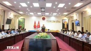 Panorama de la reunión. (Foto: VNA)