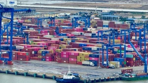 Se proyecta que el valor de las exportaciones vietnamitas alcanzará los 470 mil millones de dólares a fin de año. (Foto: VNA)