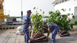 Llevan regalos del Tet y artículos de primera necesidad a la Zona Especial de Truong Sa (Foto: VNA)