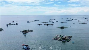 Modelo de cultivo de mariscos en jaulas en Ninh Thuan. (Foto: VNA)