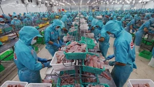 Los productos acuícolas son uno de los principales sectores de exportación con alto crecimiento en los primeros seis meses de 2025 (Foto: VNA)
