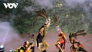 Una actuación artística en el evento (Foto: VOV)