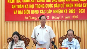 El vicepresidente de la Asamblea Nacional, Tran Quang Phuong, interviene en la reunión (Foto: VNA)