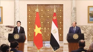 El presidente de Vietnam, Luong Cuong, y su homólogo egipcio Abdel Fattah El-Sisi, se reúnen con la prensa (Foto: VNA)