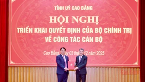 El jefe de la Comisión de Organización del Comité Central del PCV, Le Minh Hung (der.), presenta la decisión a Phan Thang An (Foto: VNA)
