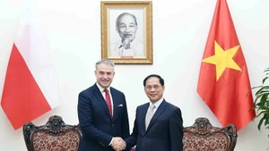 El viceprimer ministro vietnamita Bui Thanh Son, y el viceprimer ministro y ministro de Transformación Digital de Polonia, Krzysztof Gawkowski. (Foto: VNA)