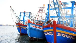 Barcos pesqueros en Dong Thap (Foto: VNA)