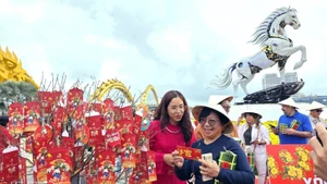 Ciudad de Da Nang recibe a los primeros turistas internacionales en el Año de Caballo. (Foto: VNA)