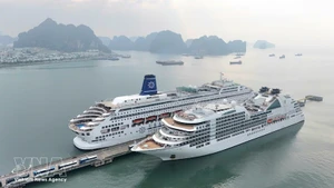 Los cruceros de lujo Seabourn Encore y Piano Land llegan a la provincia de Quang Ninh en el primer día del Año Nuevo Lunar. (Foto: VNA)