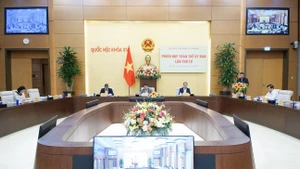 Funciones y competencias de la Comisión de Cultura y Asuntos Sociales