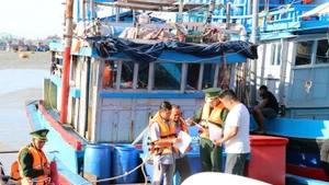 La provincia de Quang Tri refuerza la supervisión de su flota para combatir la pesca ilegal. (Foto: VNA)