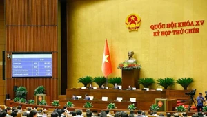 Los delegados votan la resolución para establecer el Consejo Electoral Nacional (Foto: VNA)