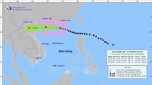 Ragasa se debilita pero mantiene alerta por lluvias en norte de Vietnam. (Foto: VNA)