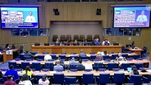 Panorama de la sesión (Foto: VNA)