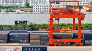 Las mercancías se recogen en el Puerto Ferroviario Internacional de Nanning, en Guangxi, antes de ser trasladadas a Vietnam en el tren internacional Vietnam-China. (Foto: VNA)