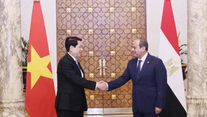 El presidente de Vietnam, Luong Cuong (izquierda), y su homólogo egipcio, Abdel Fattah El-Sisi (Foto: VNA)