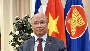 El embajador vietnamita en Francia, Dinh Toan Thang (Foto: VNA)