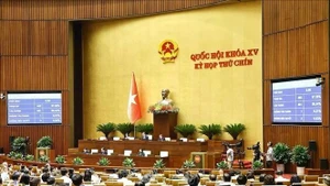 Panorama de la reunión. (Foto: VNA)