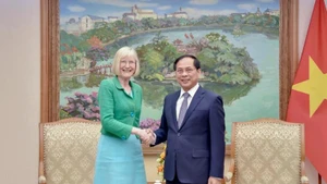 El viceprimer ministro y canciller de Vietnam, Bui Thanh Son, recibe a la embajadora australiana, Gillian Bird. (Foto: VNA)