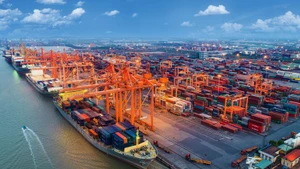 Puerto marítimo de Hai Phong (Foto: congthuong.vn)
