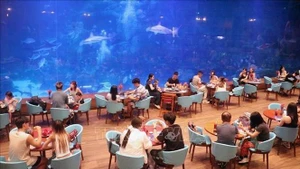 Los turistas experimentan el Palacio del Océano en el norte de la isla de Phu Quoc (Kien Giang). (Foto: VNA)
