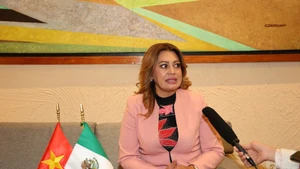 La diputada del Partido del Trabajo, presidenta de la Comisión de Bienestar de la Cámara de Diputados de México, Ana Karina Rojo Pimentel, responde a una entrevista de la VNA. (Foto: VNA)