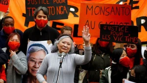 Tran To Nga ha dedicado más de 30 años a buscar justicia para las víctimas del Agente Naranja desde Francia, donde reside actualmente. (Foto: VNA)
