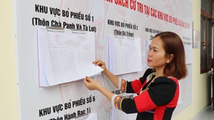 Los pobladores de la etnia Raglai en la comuna de Bac Ai Tay (Khanh Hoa) consultan la lista de votantes publicada oficialmente en la sede del Comité Popular comunal. (Foto: VNA)