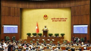 La Asamblea Nacional de Vietnam aprueba la Ley de los Docentes (Foto: VNA)