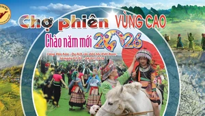 Celebrarán en Hanói diversas actividades en saluda al Año Nuevo 2026 (Foto: VOV)