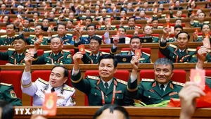 Los delegados votan para aprobar la Resolución del XIV Congreso Nacional del Partido. (Foto: VNA)