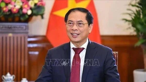 El viceprimer ministro y canciller Bui Thanh Son (Foto: VNA)
