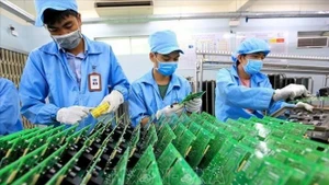 La UE busca aumentar aún más la inversión en alta tecnología en Vietnam, incluida la industria de semiconductores. (Foto: VNA)