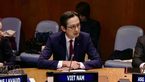 El embajador Do Hung Viet, jefe de la Misión Permanente de Vietnam ante la ONU, en el evento. (Foto: VNA)